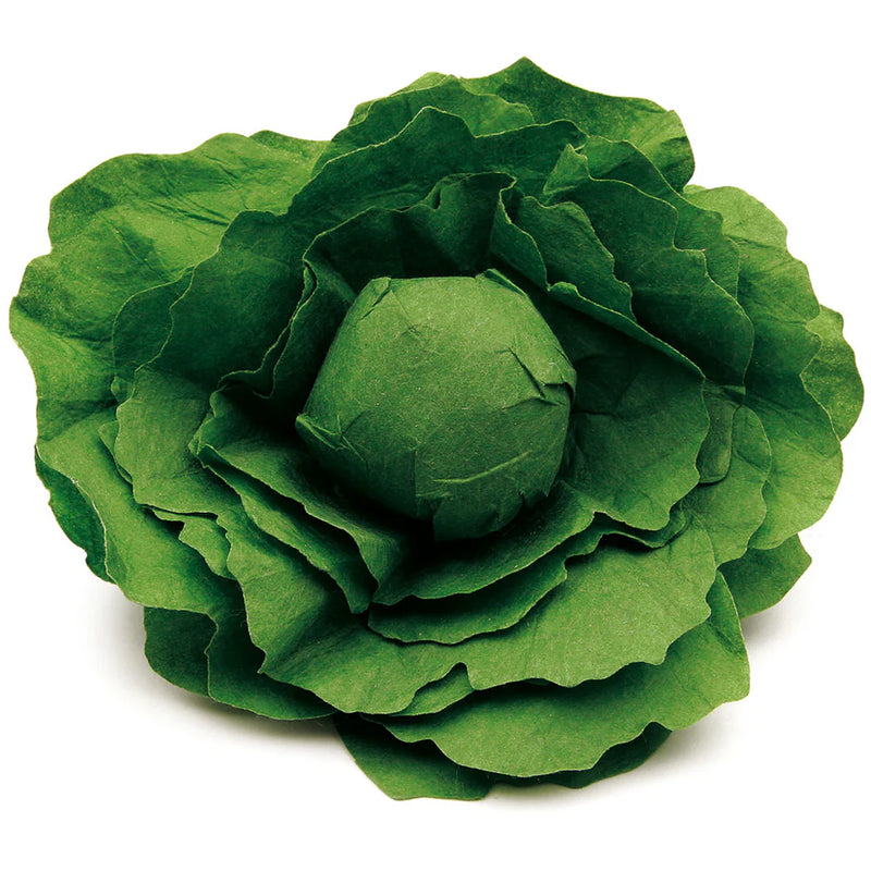 Esri lettuce toy food set