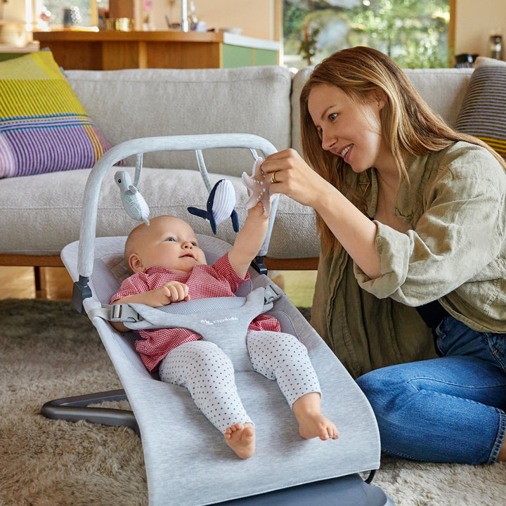 Ergobaby Elvolve best baby bouncer with toy bar