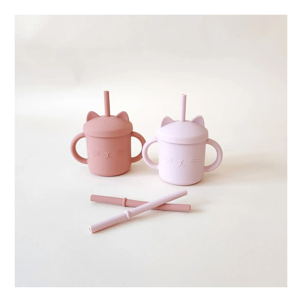 minito terracotta and pink sippy cup