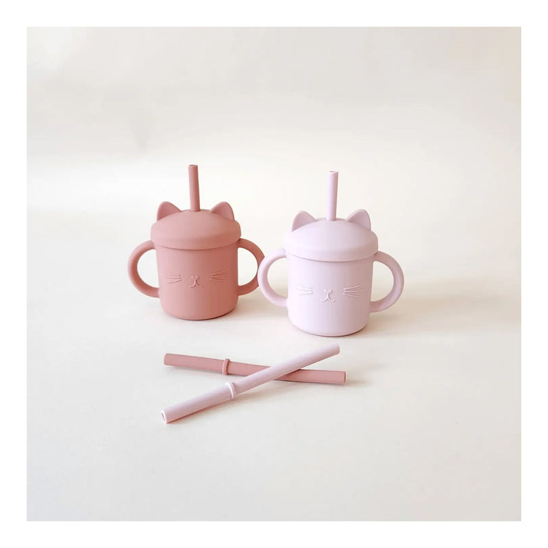 minito terracotta and pink sippy cup