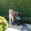 UPPAbaby Vista V3 in Greyson