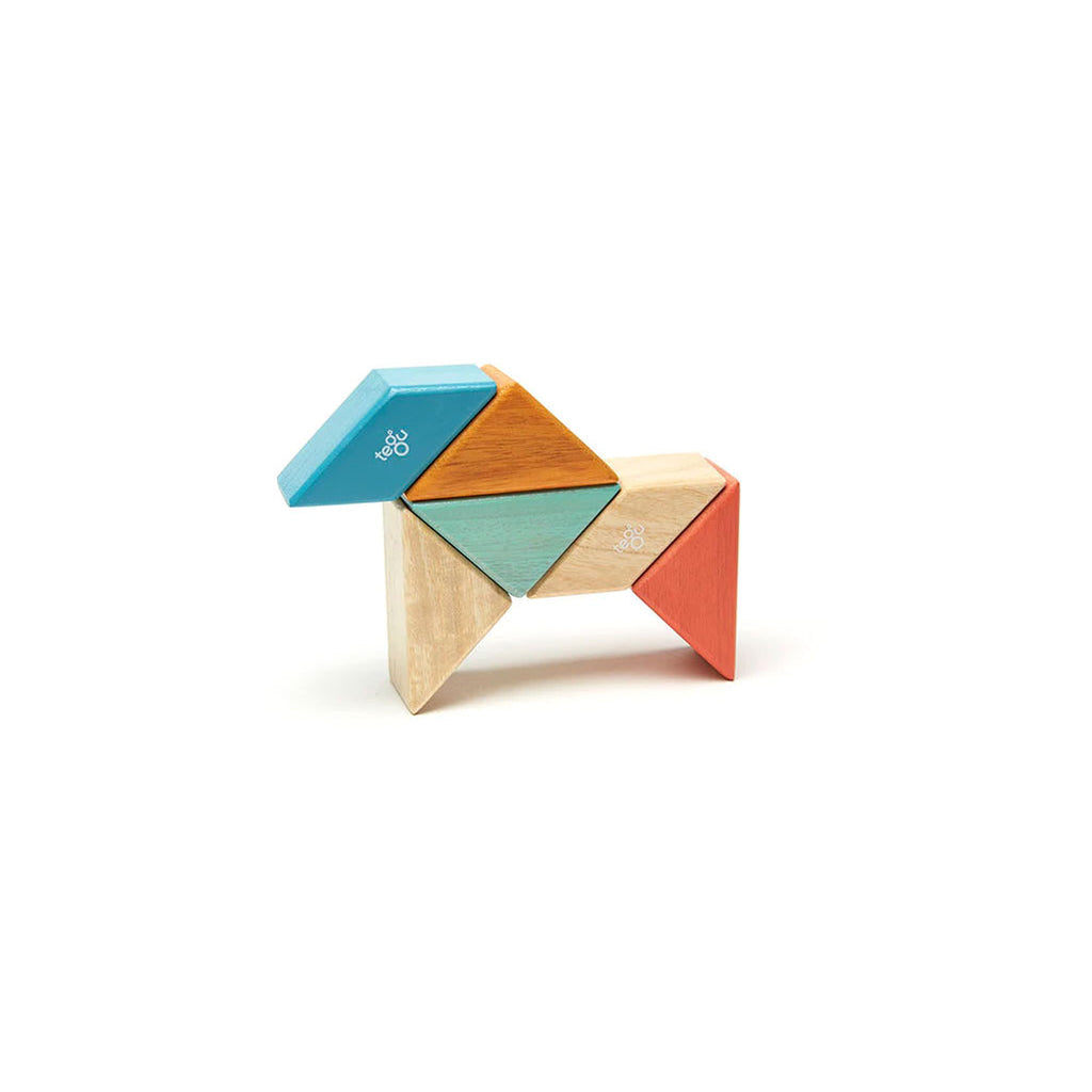 Tegu educational toys pocket pouch prism blocks