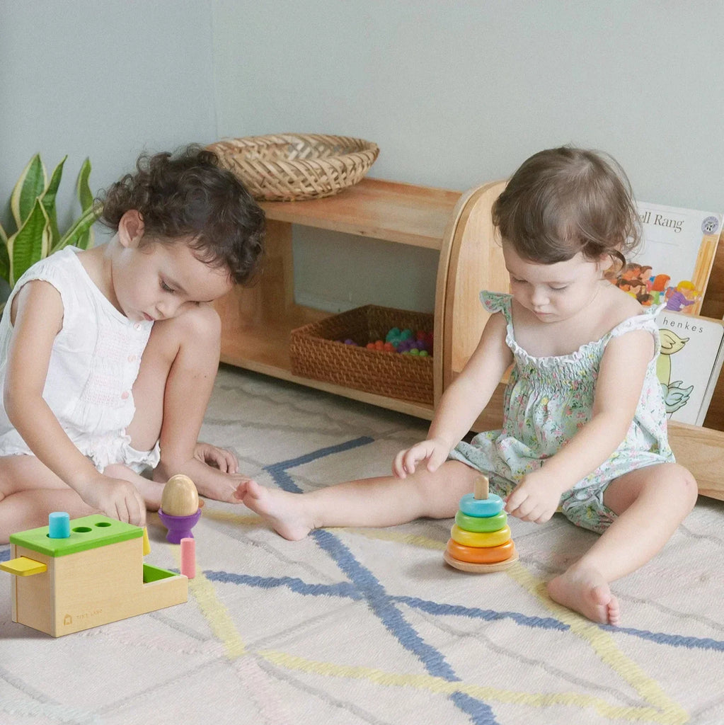 Tiny Land® Montessori Toys Set for babies