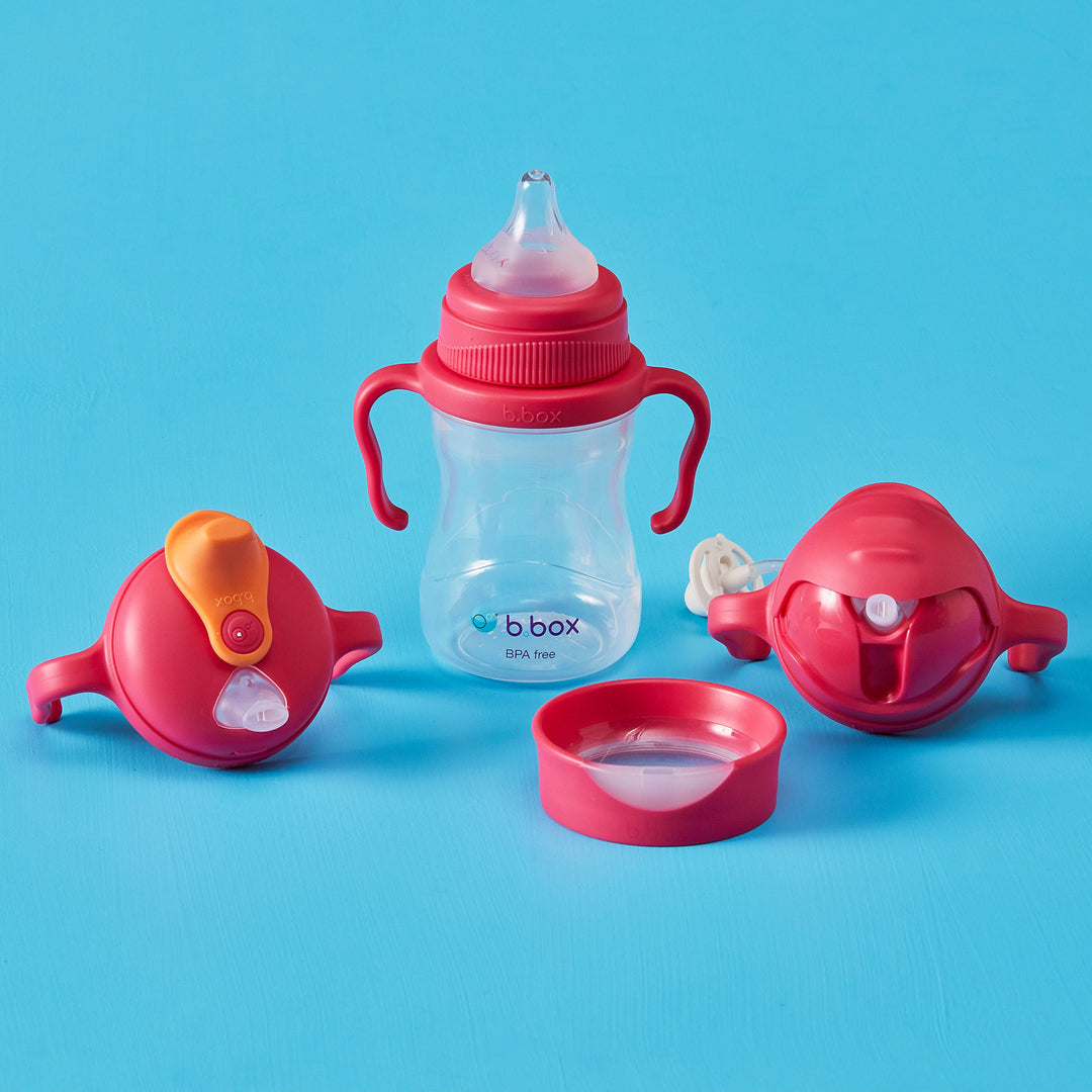 b.box raspberry transition pack showing four piece set baby sippy cup
