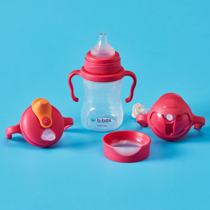 b.box raspberry transition pack showing four piece set baby sippy cup