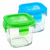 Wean Green Blueberry/Pea Cubes Reusable Food Storage Container Set blue green