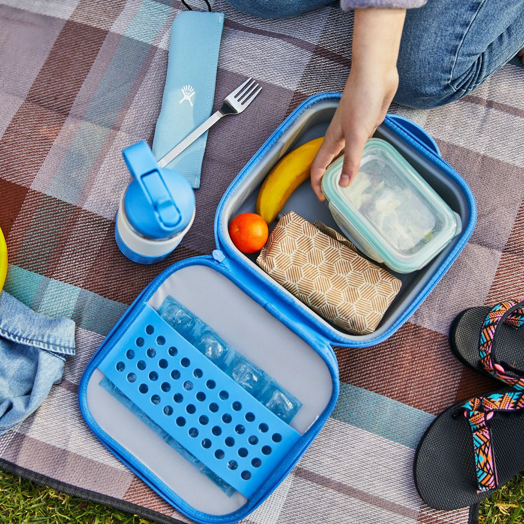 hydroflask kids lunch box blue