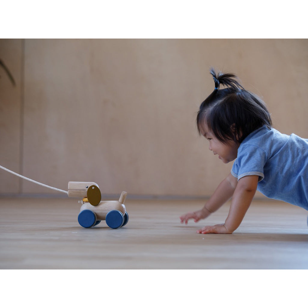 Plan Toys Push & Pull Puppy Children's Wooden Activity Toy Hazel & Fawn