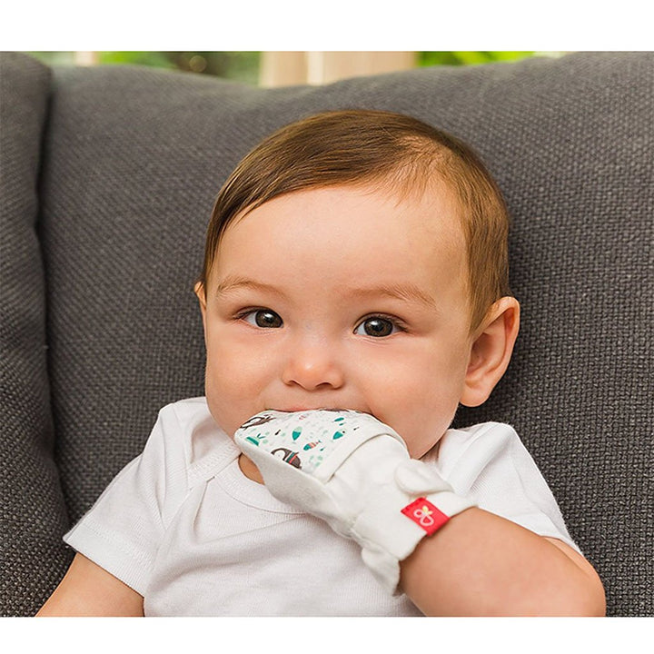 Goumikids baby boy clothing Dino GoumiMitts