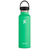 hydroflask coldest water bottle spearmint 21oz