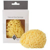 Kyte Baby Natural Sea Sponge 