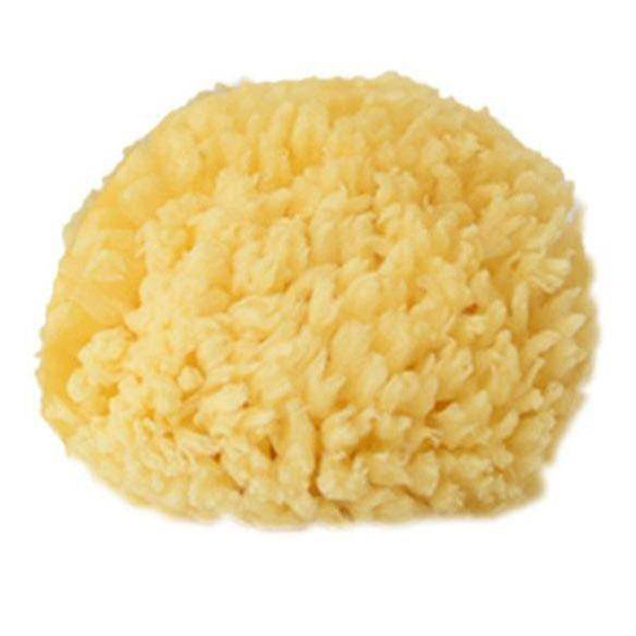 KyteBaby  Sea Sponge 