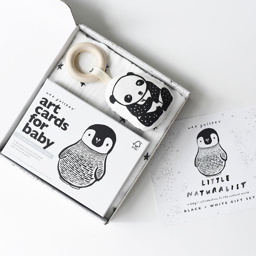 Wee Gallery Black & White Little Naturalist Gift Set Baby Activity Set