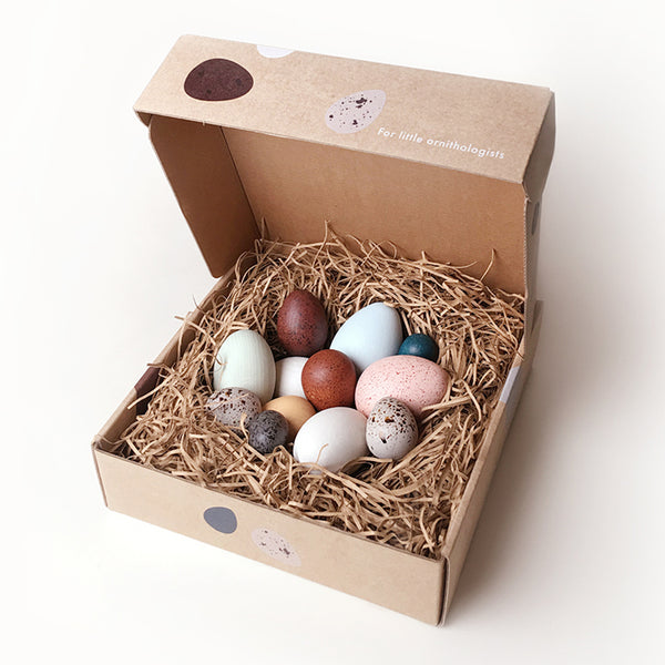 Moon Picnic Dozen Bird Egg Box Set Children's Pretend Play Toy multicolored 