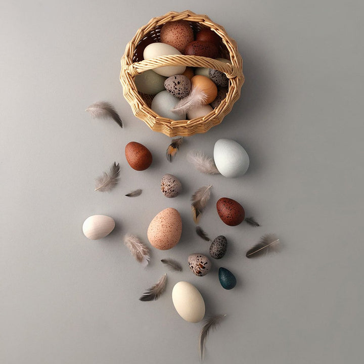 Moon Picnic toys food toys egg basket
