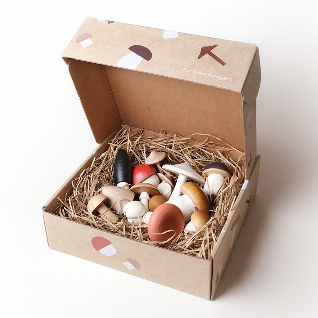 Moon Picnic kitchen toys mushroom box set