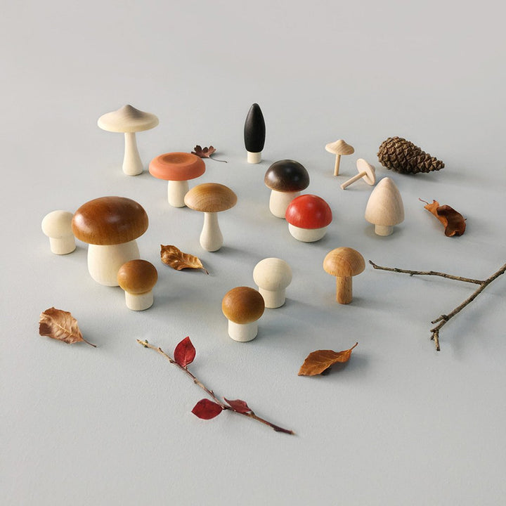 Moon Picnic Mushroom Box set kitchen toys