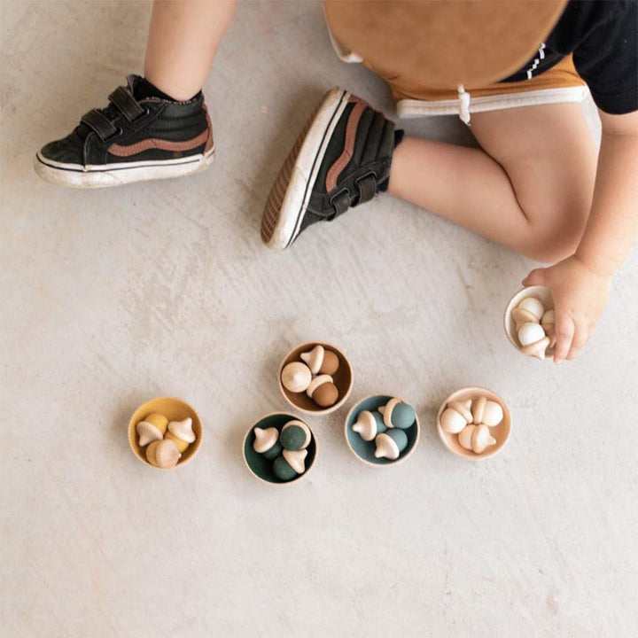 The Elm & Otter Acorn Sorting Set brings fun and learning to Montessori toy collections.