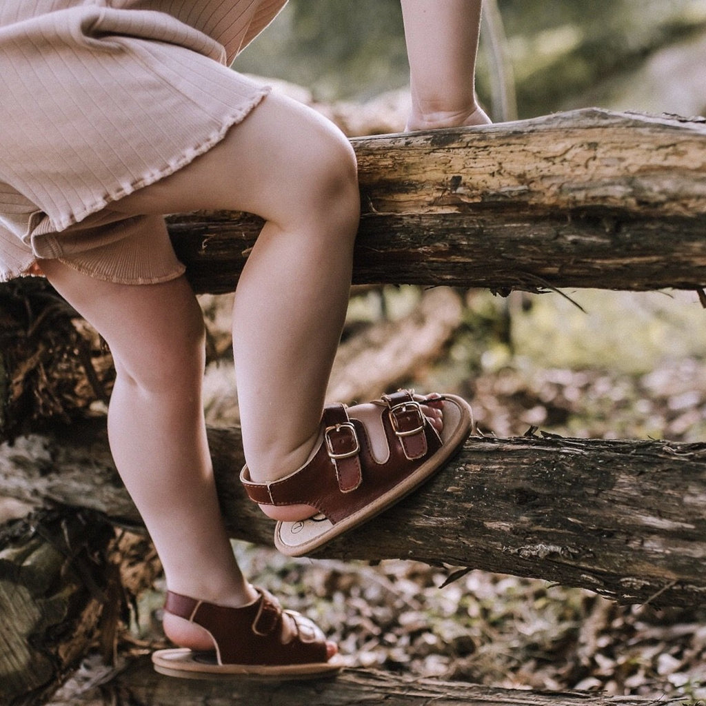 toddler sandals Little Love Bug Brown Charley Sandal