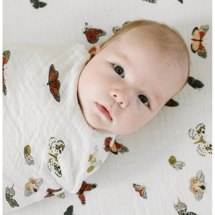 Clementine Kids butterfly migration fitted crib sheet
