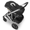 Uppababy CozyGanoosh on MESA Car Seat in Jake Black