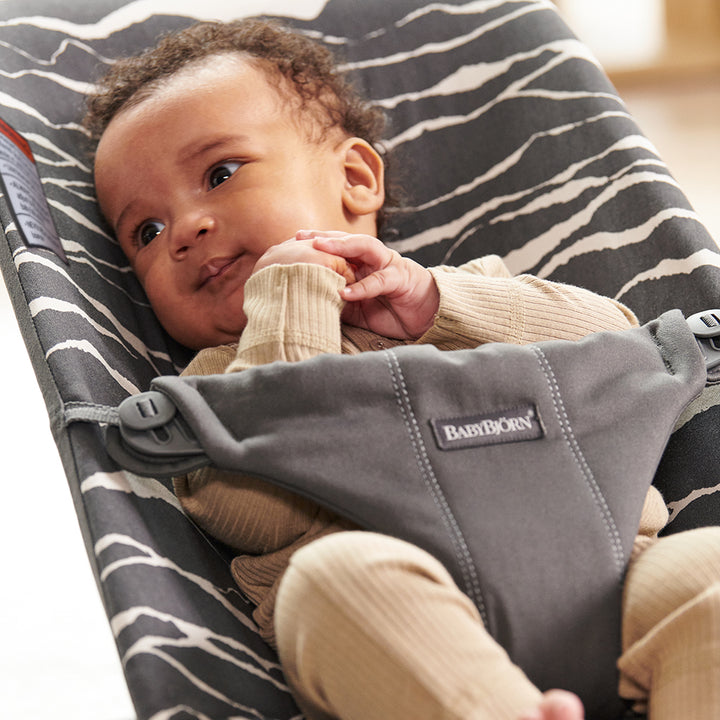 babybjorn bliss baby bouncer seat in landscape