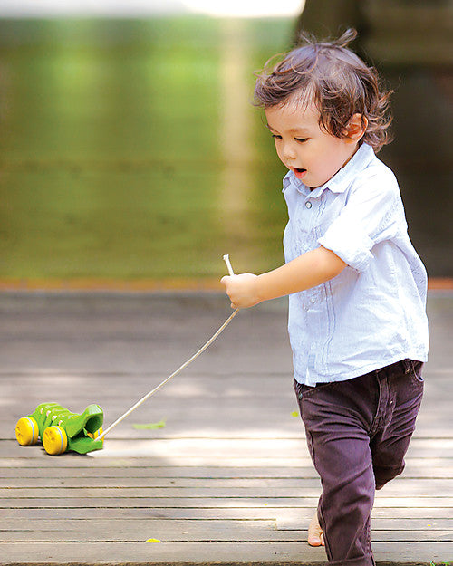 lifestyle_3, wooden alligator pull along rainbow toy