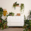 Lifestyle Dadada Gramercy Dresser | White/Sage